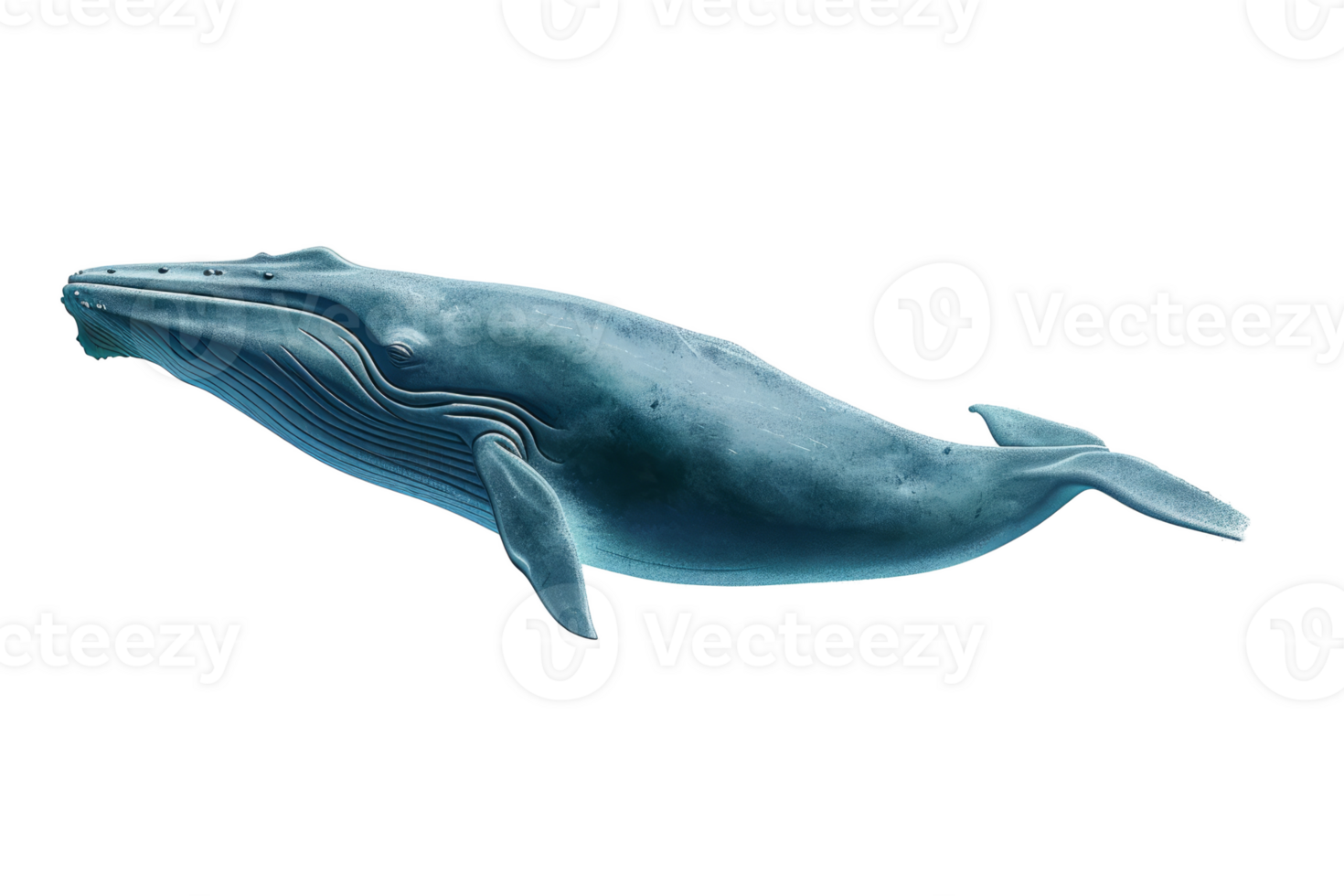 AI generated Blue Whale isolated on transparent background png
