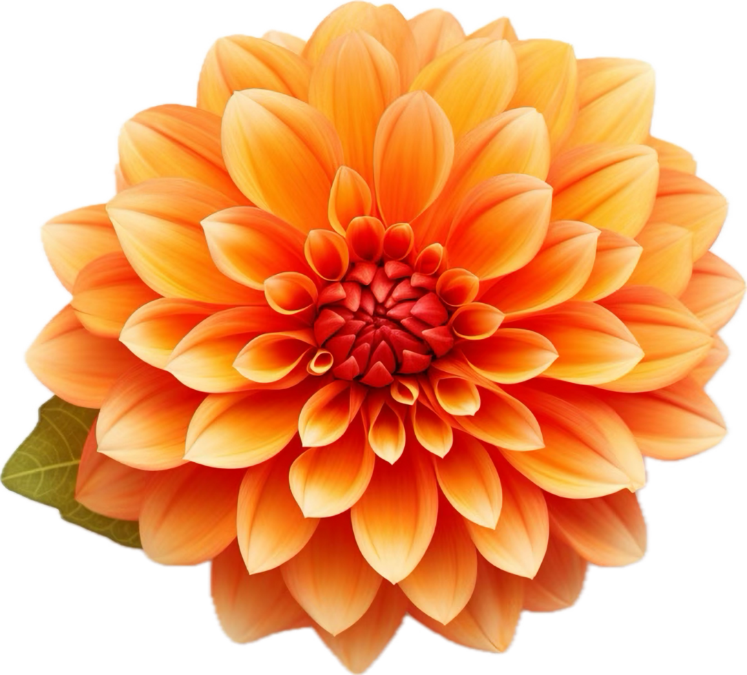 AI generated orange dahlia flower png