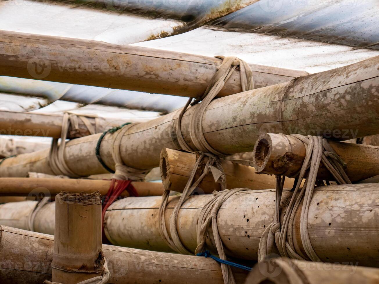 An arrangement of tied bamboo is used for the roof of a green house or simple traditional house photo