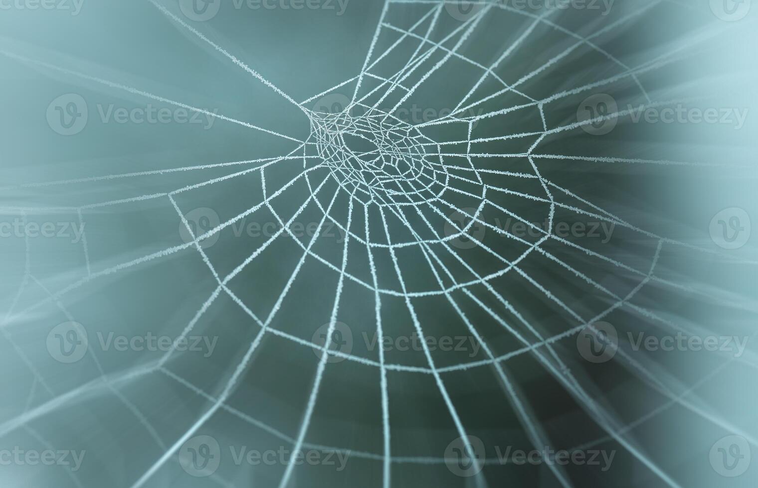 A spider web symbolizing a network photo