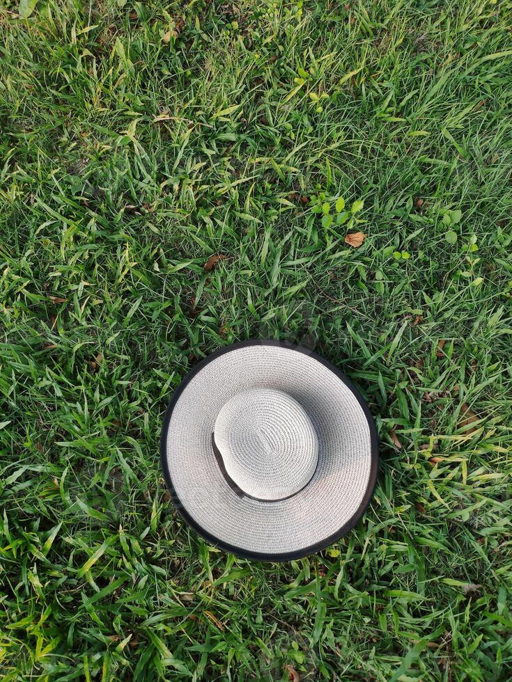 A sunhat decorated with black bow tie on lush green grass meadow, directly above view, holiday relax, picnic concept, rest time photo