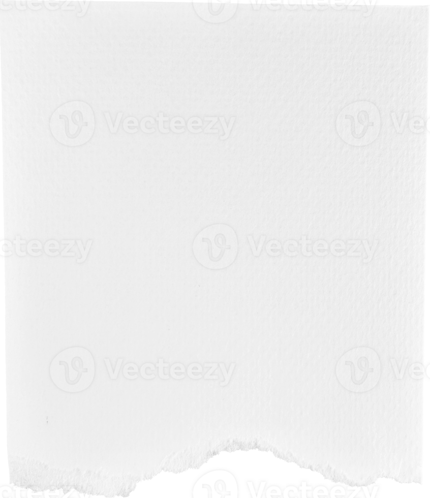 papier déchiré blanc png