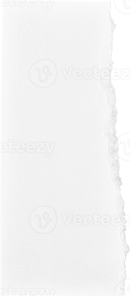 papel rasgado branco png