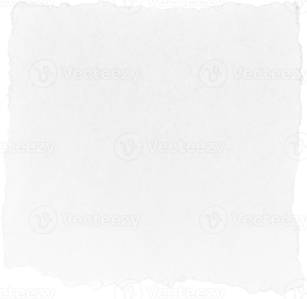 White Torn Paper png