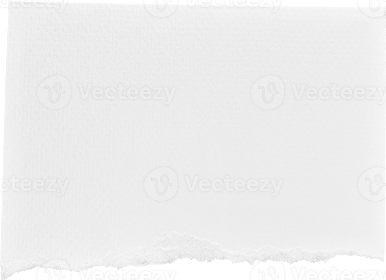 White Torn Paper png