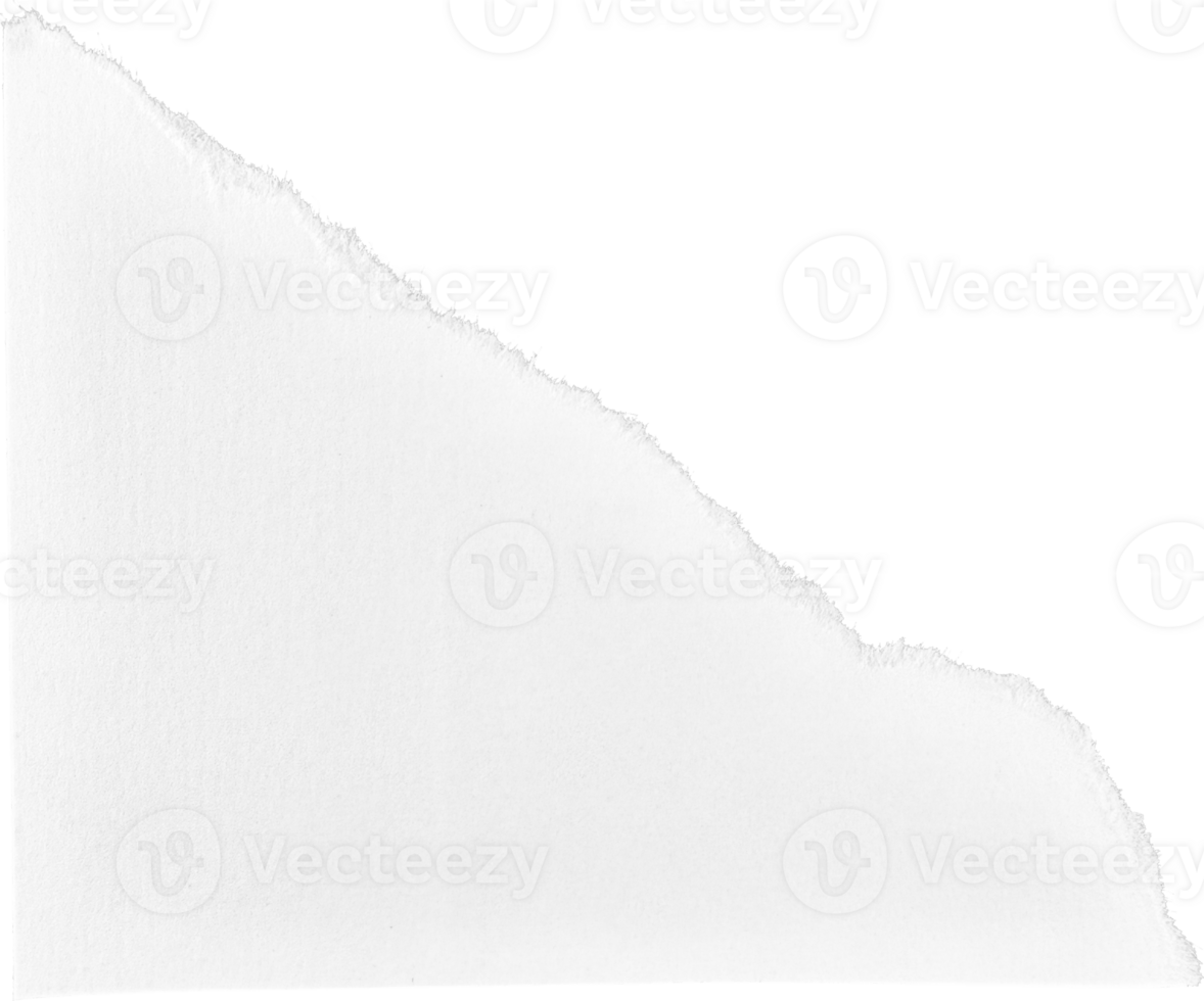 White Torn Paper png