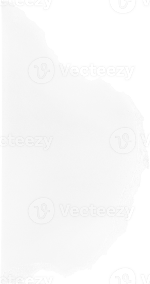 carta strappata bianca png