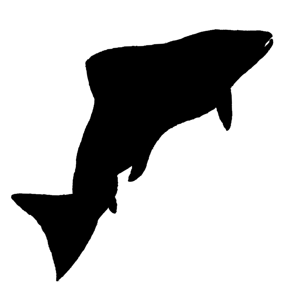 logo of animal in water call fish png