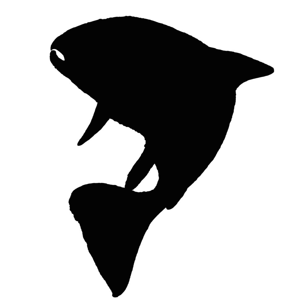 logo of animal in water call fish png