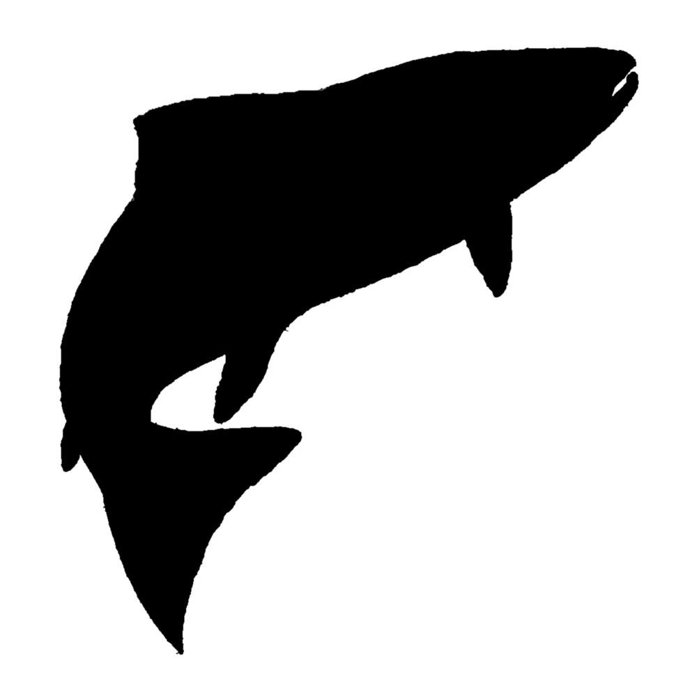 logo of animal in water call fish png