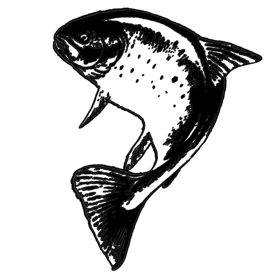 logo of animal in water call fish png