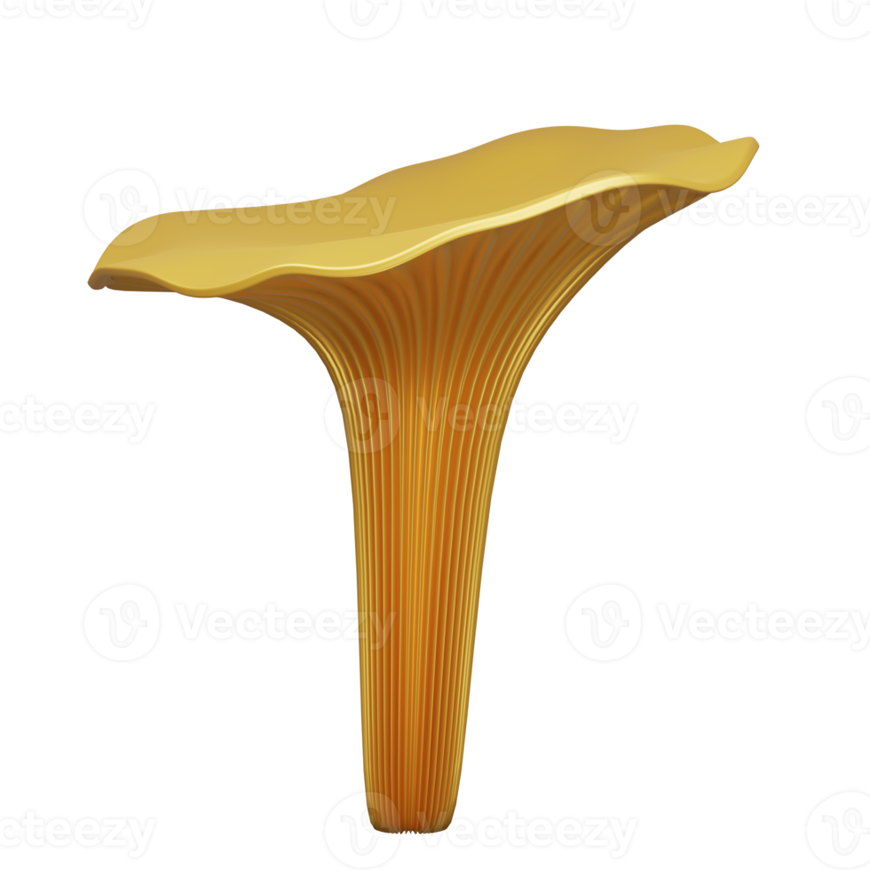 Isolated yellow chanterelle mushroom, 3d rendering, cut out png