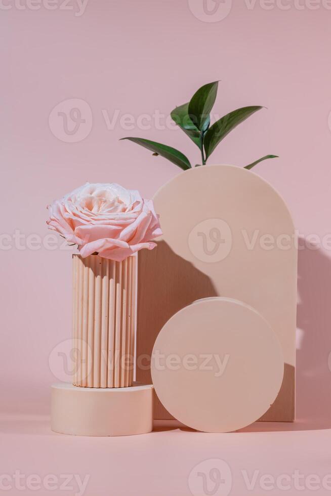 Empty beige podium composition and pink roses on pink background. Minimal cosmetic template. Round showcase for product marketing. Abstract display or stage. Spa and beauty concept. Still life. photo