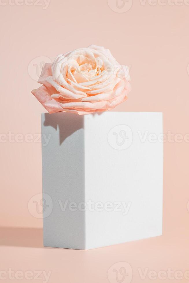 Empty podium with pink rose flowers on pink background to display products, gift or cosmetics. Podium with copy space for design or advertising. Mockup photo