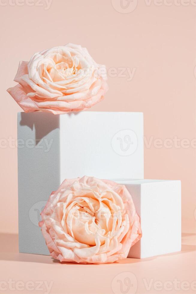Blank white podium platforms or pedestals with pink background for product display. Empty stands for showing or presenting products. photo