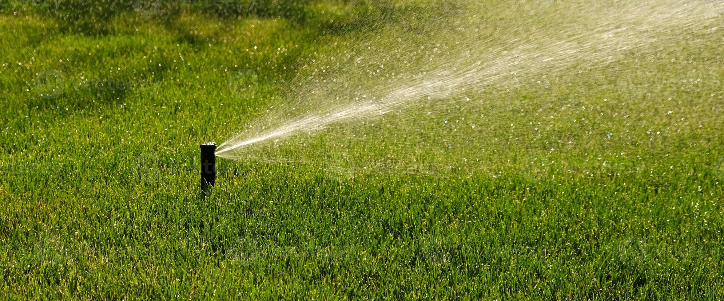 Automatic garden irrigation system watering lawn with adjustable head. Automatic equipment for irrigation and maintenance of lawns, gardening. photo