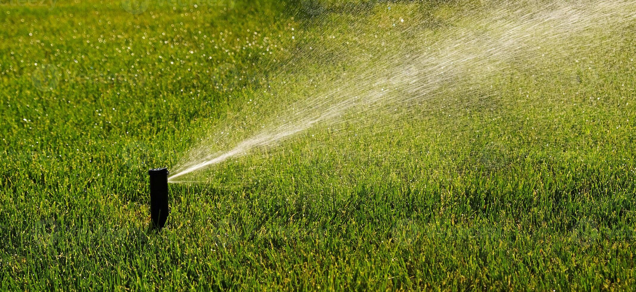 Automatic garden irrigation system watering lawn with adjustable head. Automatic equipment for irrigation and maintenance of lawns, gardening. photo