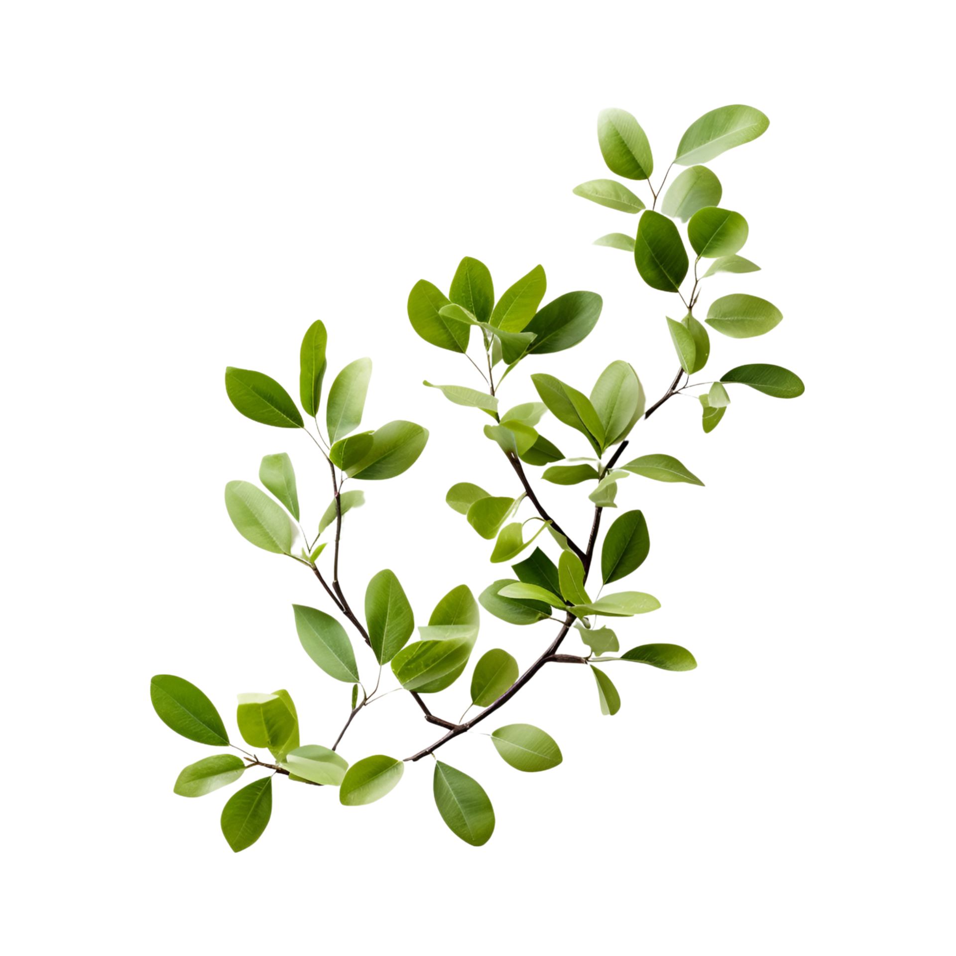 Ai Generated Flying Leaves Nature Transparent Background Generative Ai Ai Generated Flying Leaves Nature Transparent Background Generative Ai