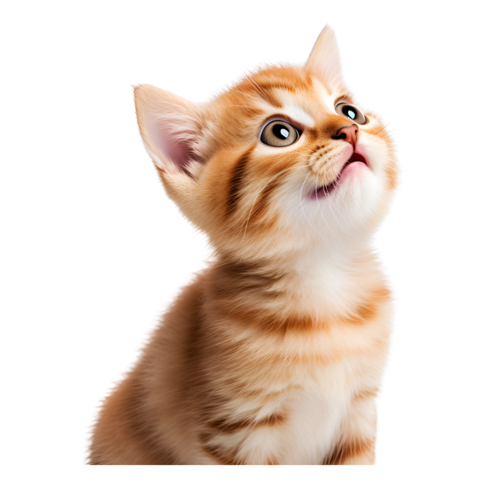 AI generated Cute baby cat  with  Transparent background Generative AI png
