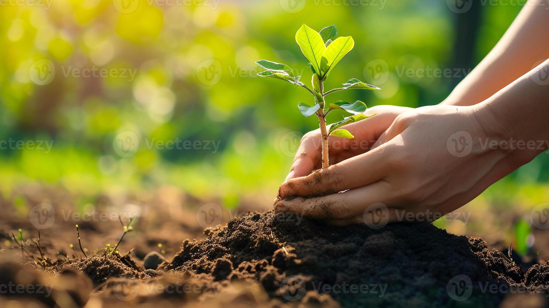 AI generated Two hands holding a little plant with soil ,golden light in the morning environment friendly concept. photo