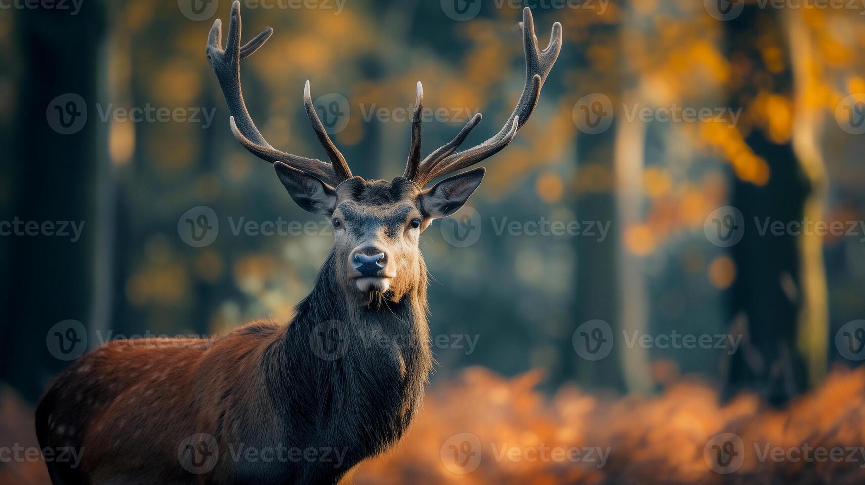 ai generado naturaleza fauna silvestre escena joven ciervo con grande cuerno en el bosque . foto