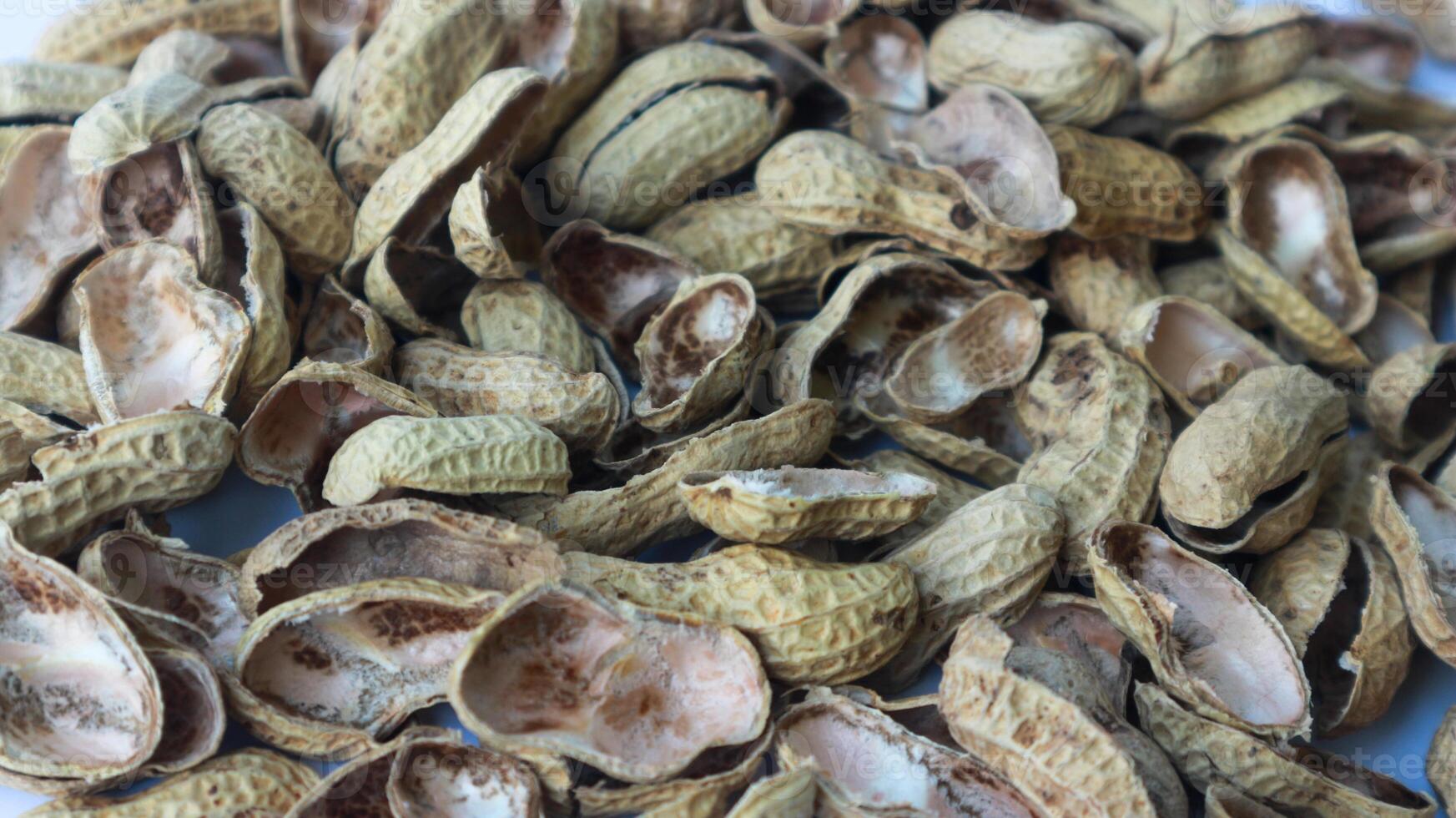 Close-up photo of peanut shell. Texture of peanut shells.