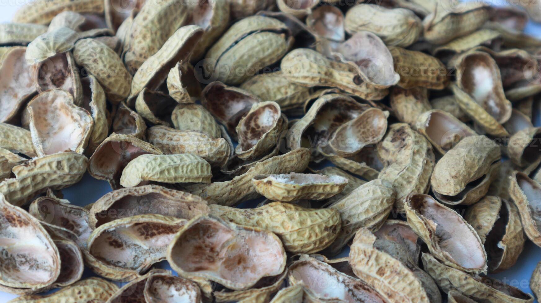 de cerca foto de maní caparazón. textura de maní conchas