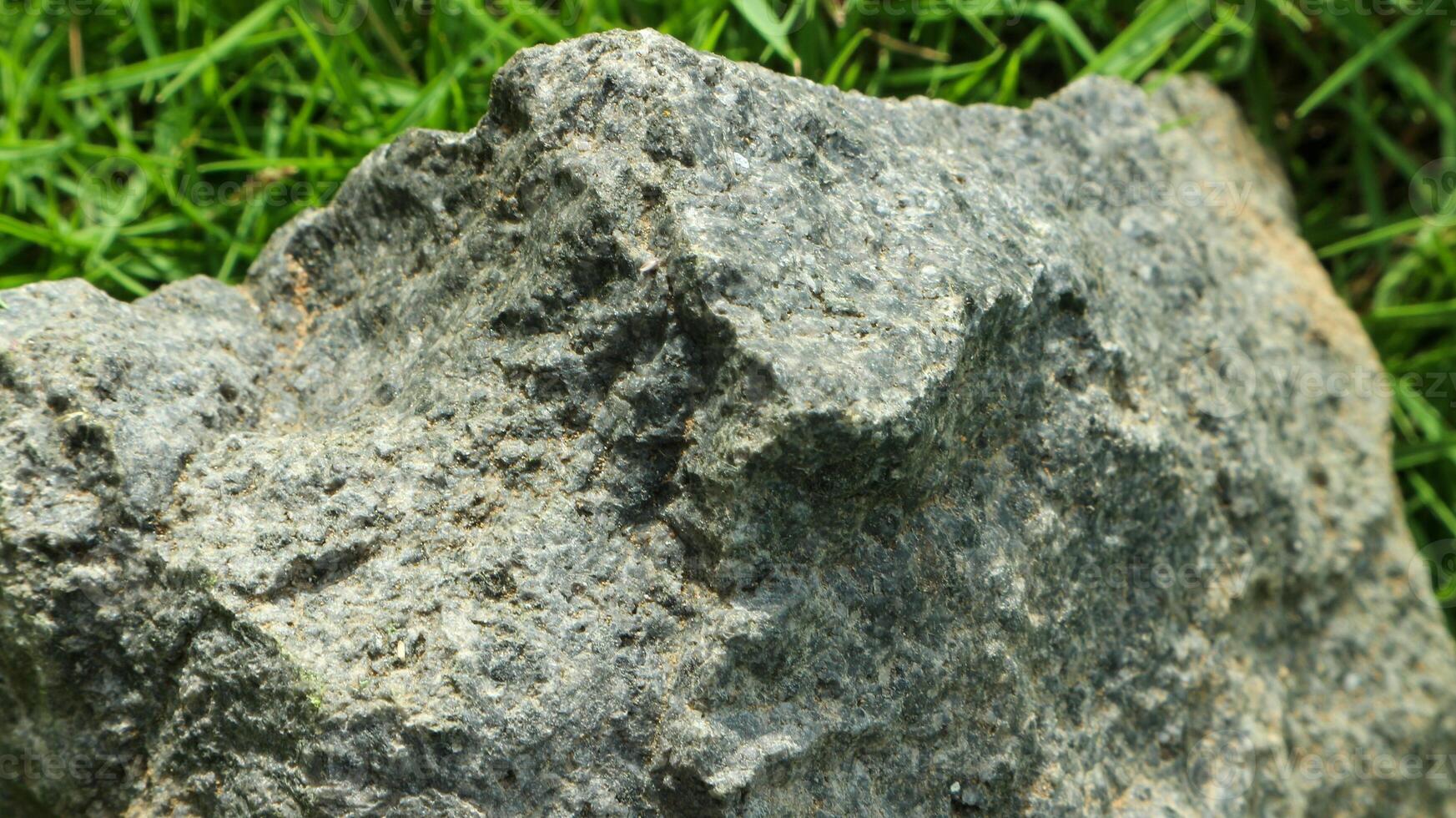 Close-up macro photo of mossy stone texture on green grass. Macro photo background.