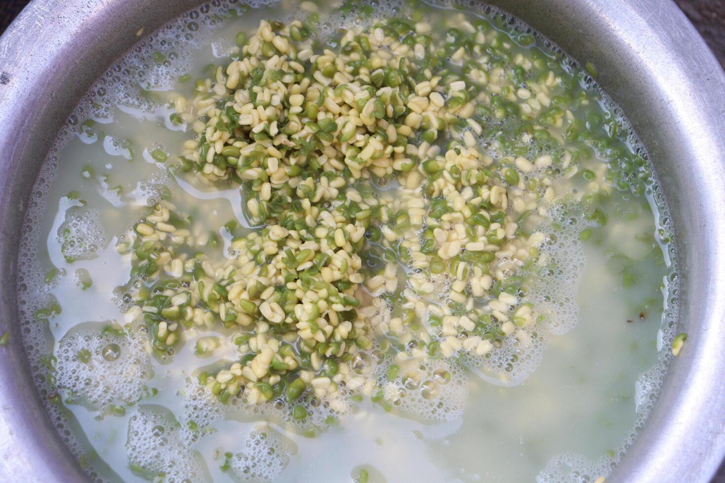 a bowl filled with green moong dal and other ingredients photo