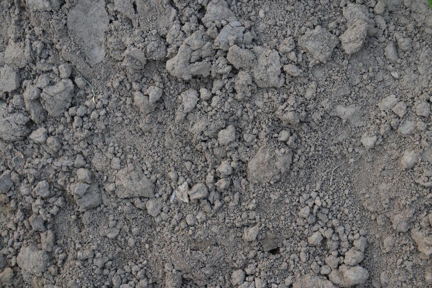 a close up of a dirt wall with some rocks photo