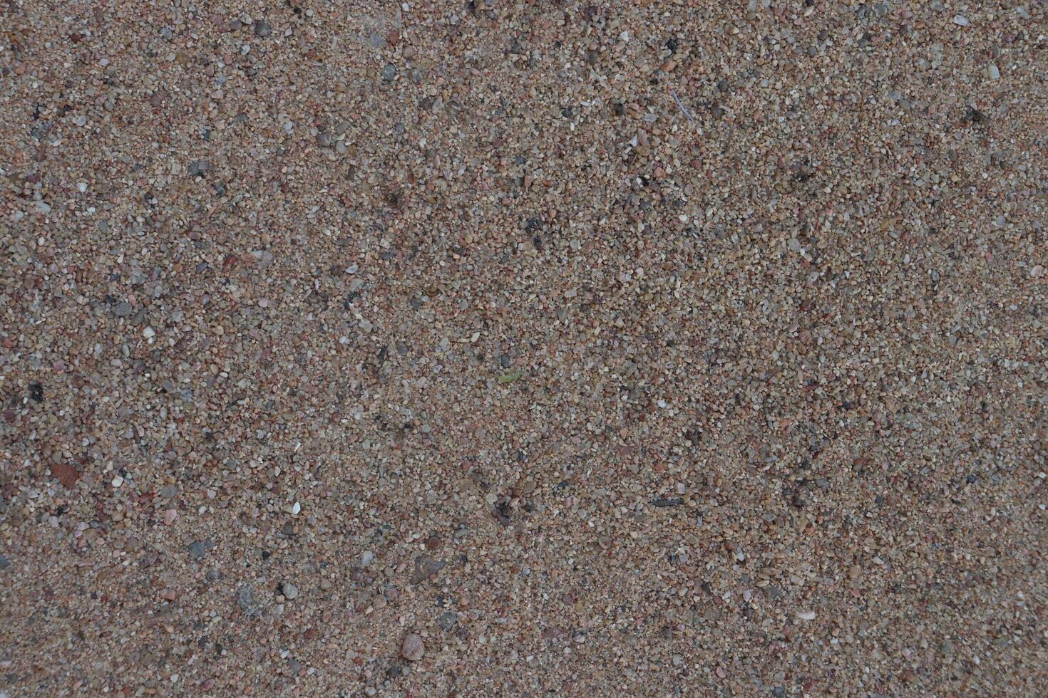 a close up of a skateboard on a concrete surface photo