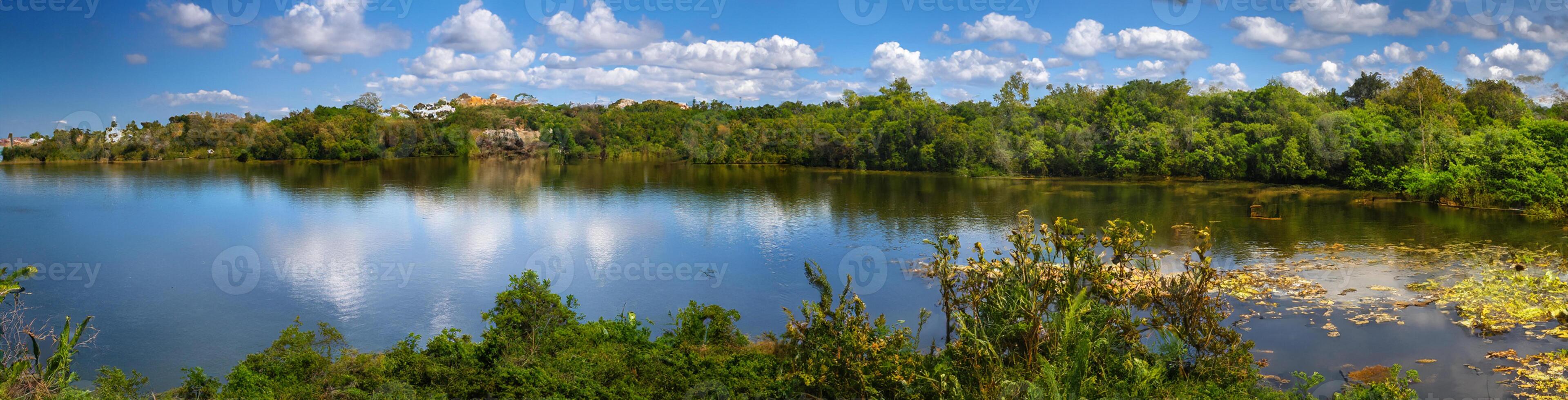paisaje de el Amazonas selva, en lago sandoval, tambopata, Perú foto