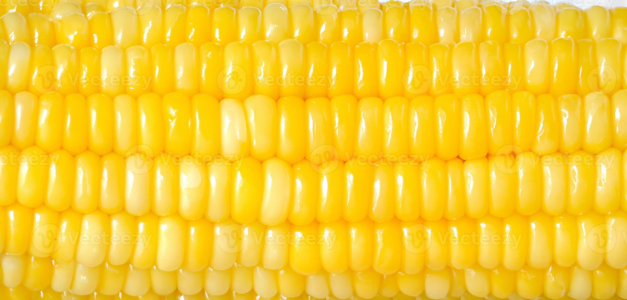 Yellow corn texture photo