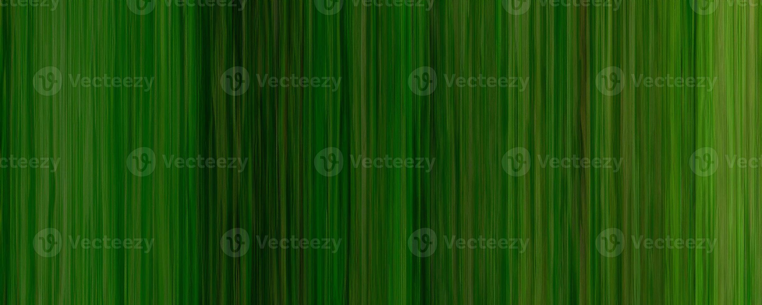 Dark green striped bamboo texture background photo