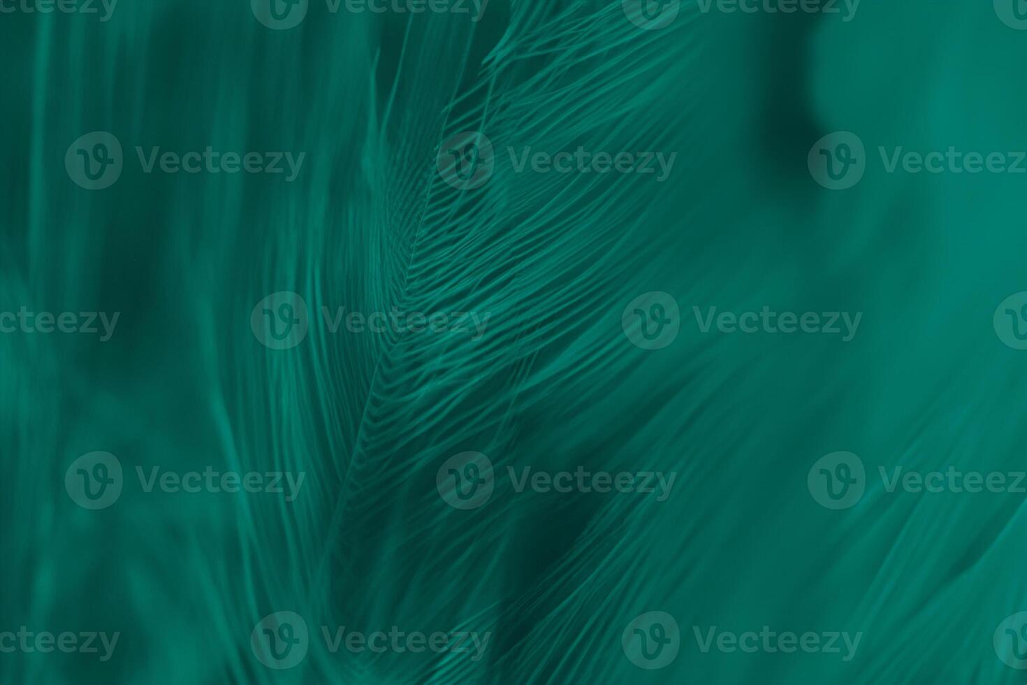 Beautiful dark green turquoise vintage color trends feather texture background photo