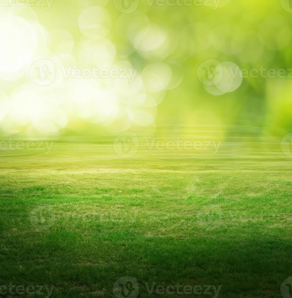 Summer field background photo