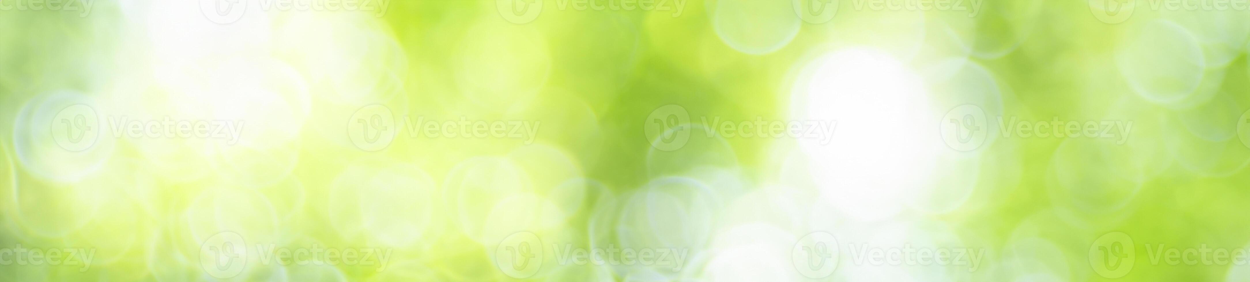 Abstract nature light of green leaf in garden using as background cover page photo