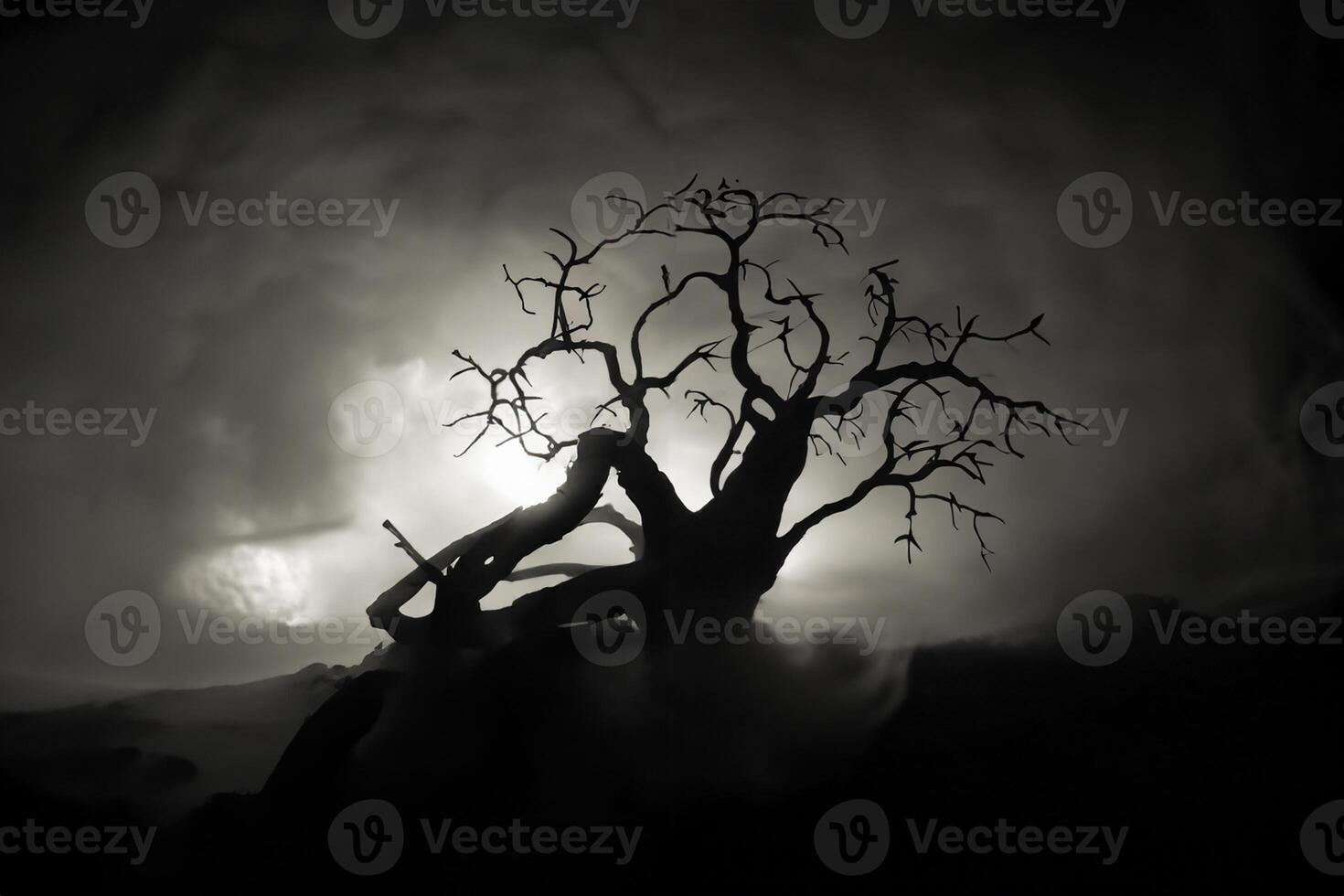 Silhouette of scary Halloween tree on dark foggy toned background with moon on back side. photo