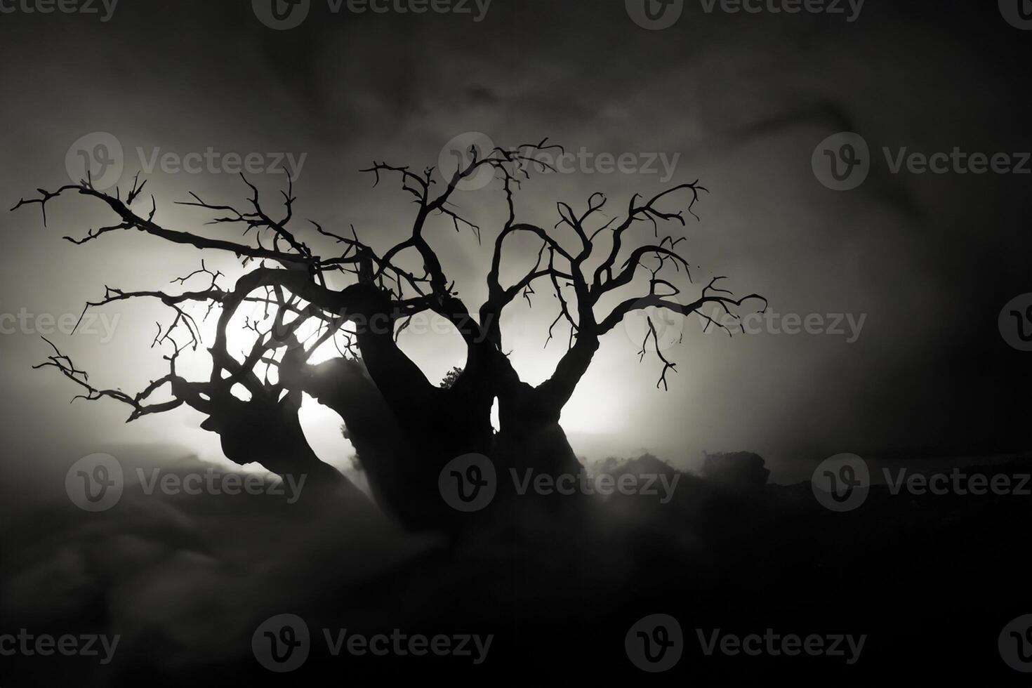 Silhouette of scary Halloween tree on dark foggy toned background with moon on back side. photo