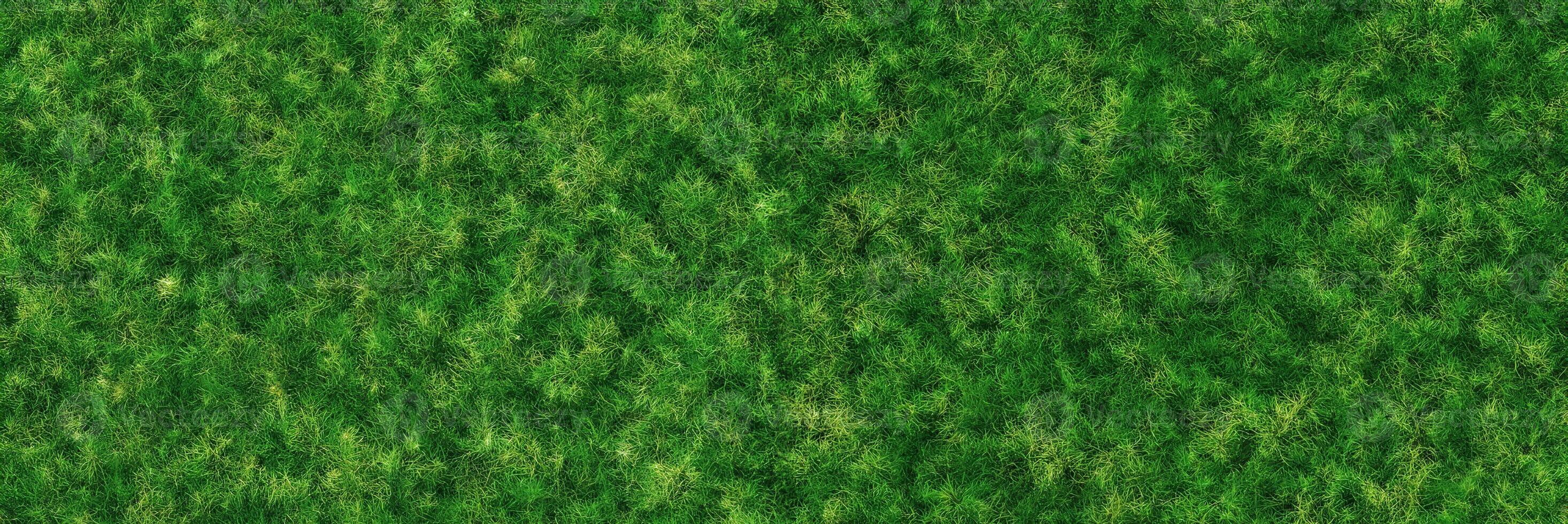 Green grass, background in the form of grass texture ,, 3d rendering photo