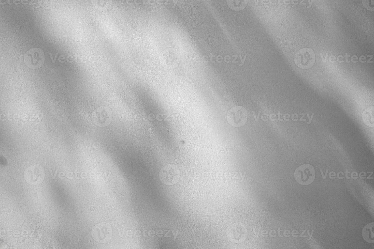 White cement wall with shadow of leaves photo