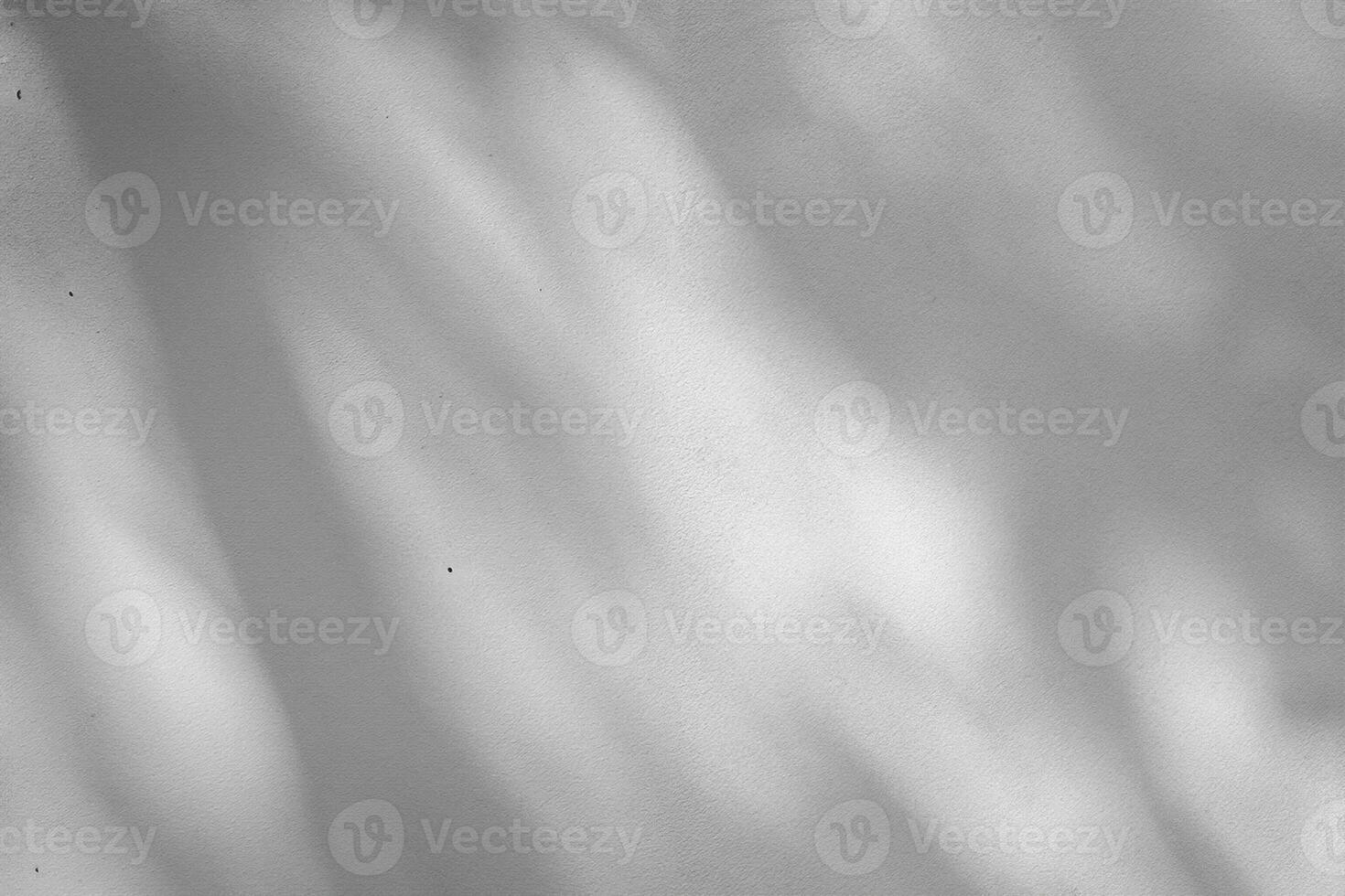 White cement wall with shadow of leaves photo