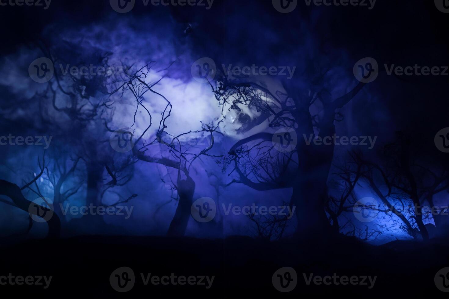 Spooky dark landscape showing silhouettes of trees in the swamp on misty night. Night mysterious landscape in cold tones - silhouettes of the bare tree branches against the full moon photo