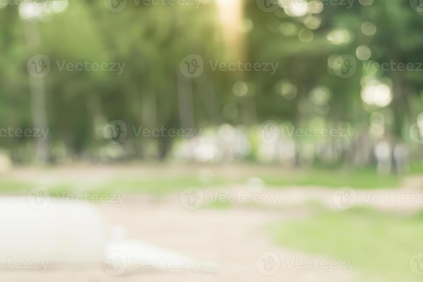 Blur nature green park with sun light abstract background. photo