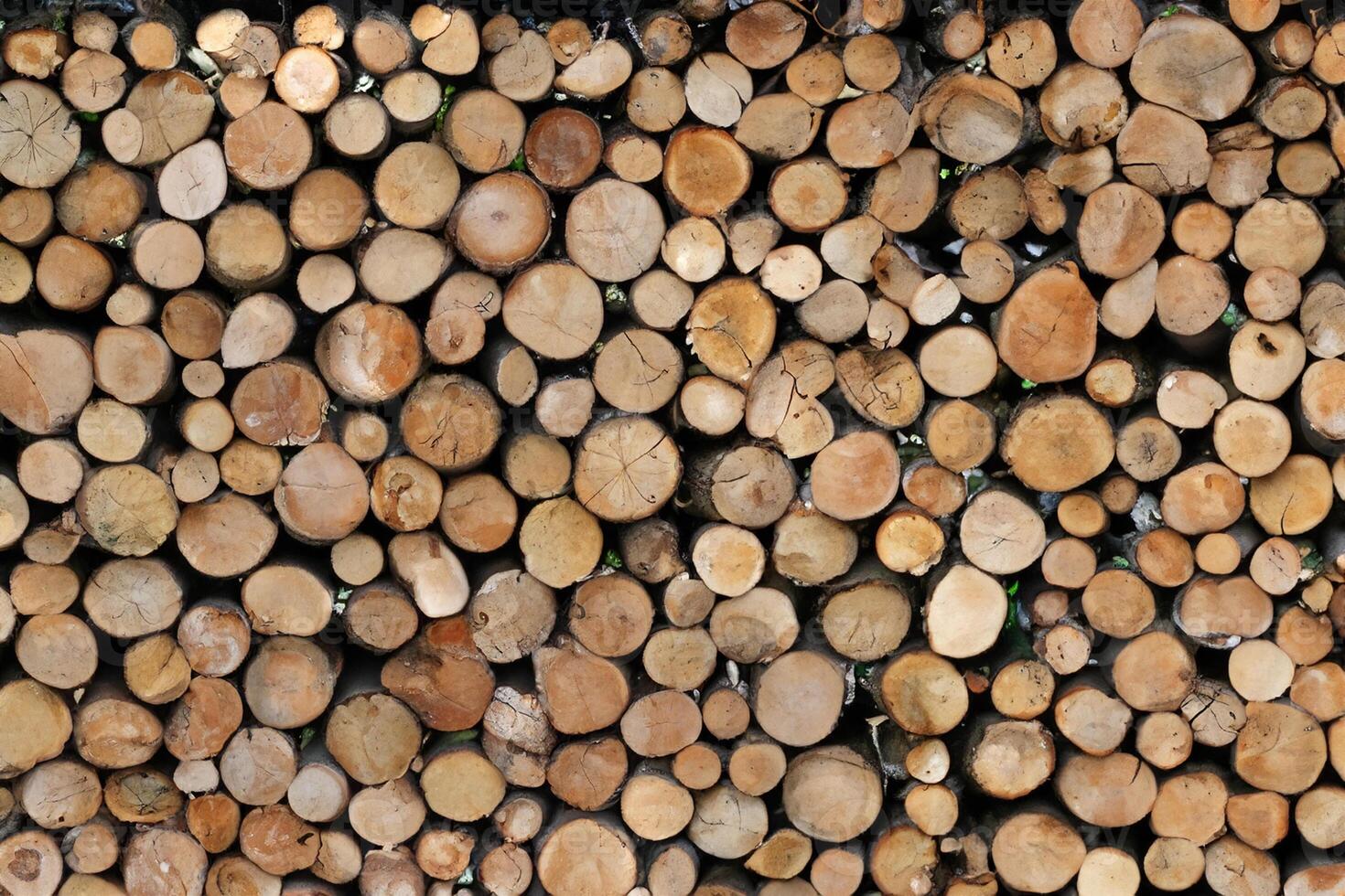 Close up wooden stacked sawn logs for background or abstraction photo