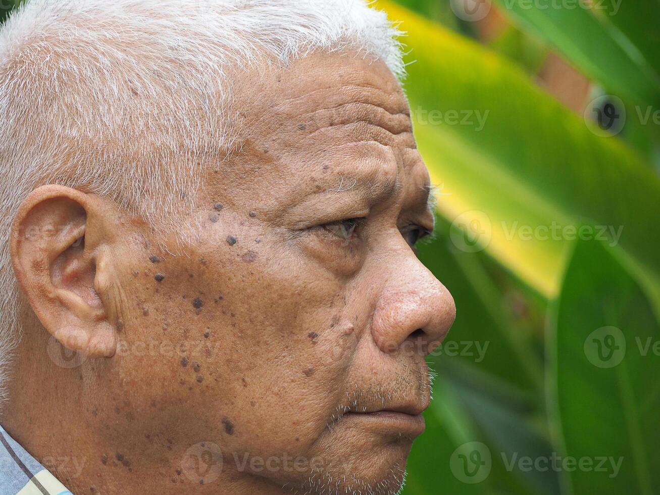 Close-up of facing a senior man looking away while standing in a garden photo