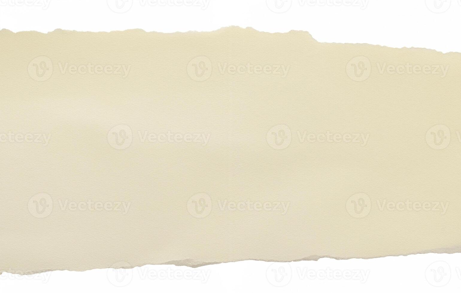 Blank brown torn note paper isolated on white background photo