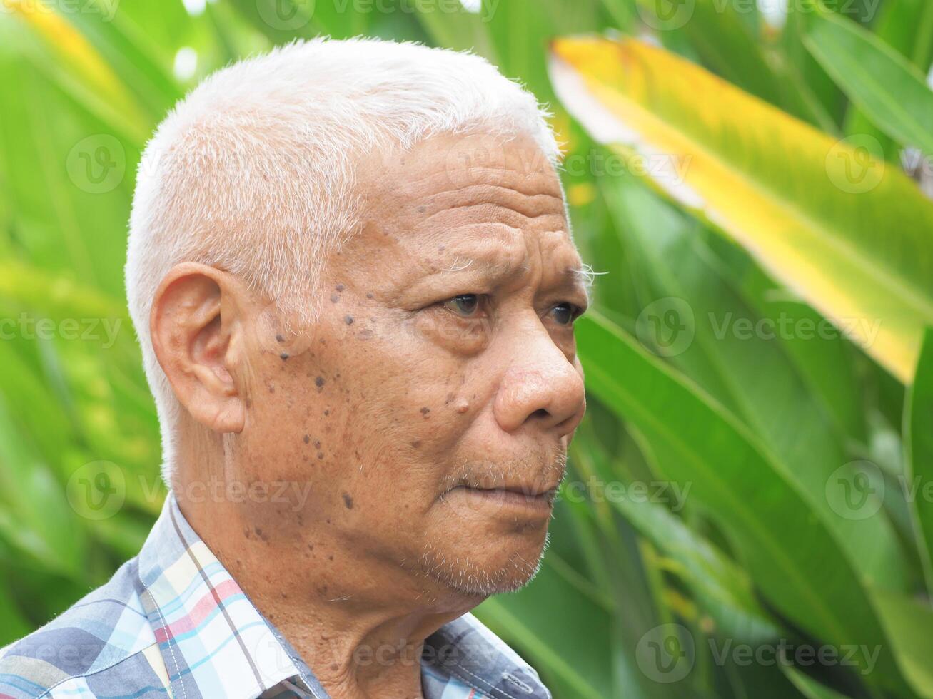 Portrait of a senior Asian man looking away while standing in the garden photo
