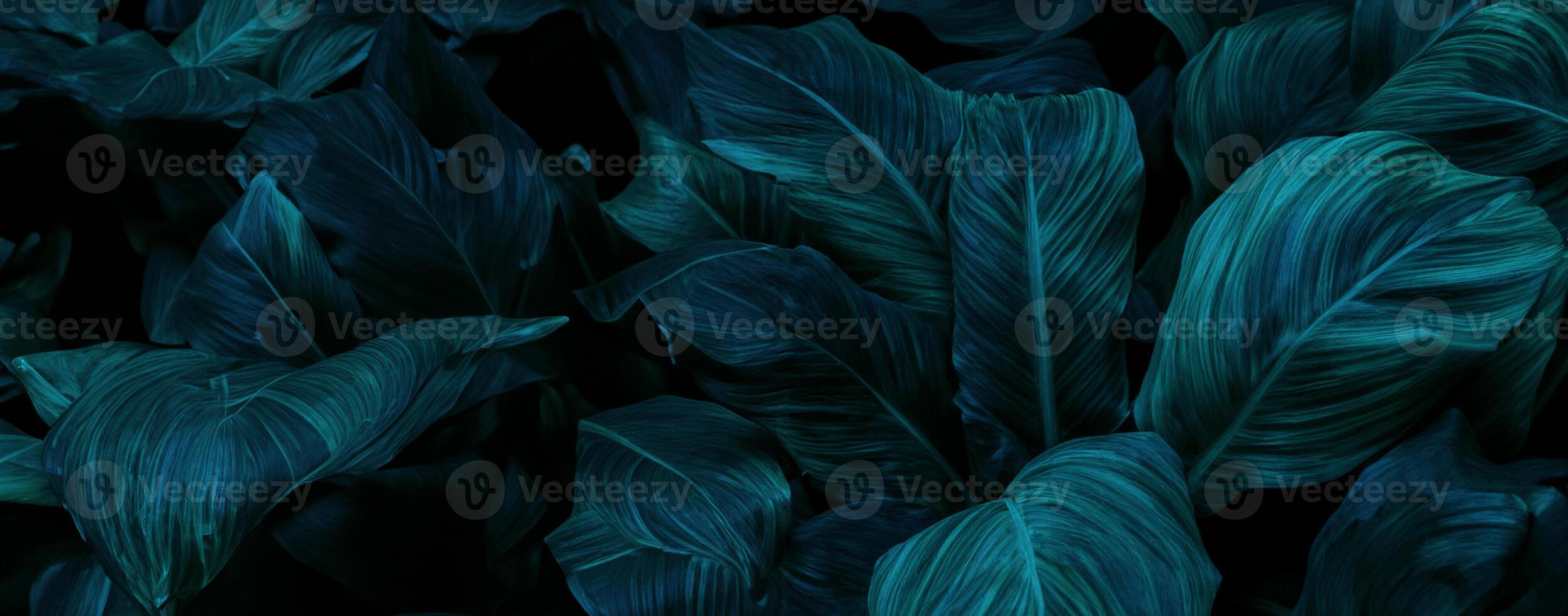 abstract green leaf texture, tropical leaf foliage nature dark green background photo
