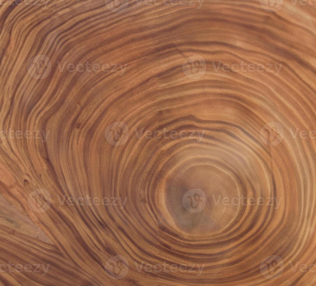 brown background and texture Cross section of tree trunk showing growth rings photo